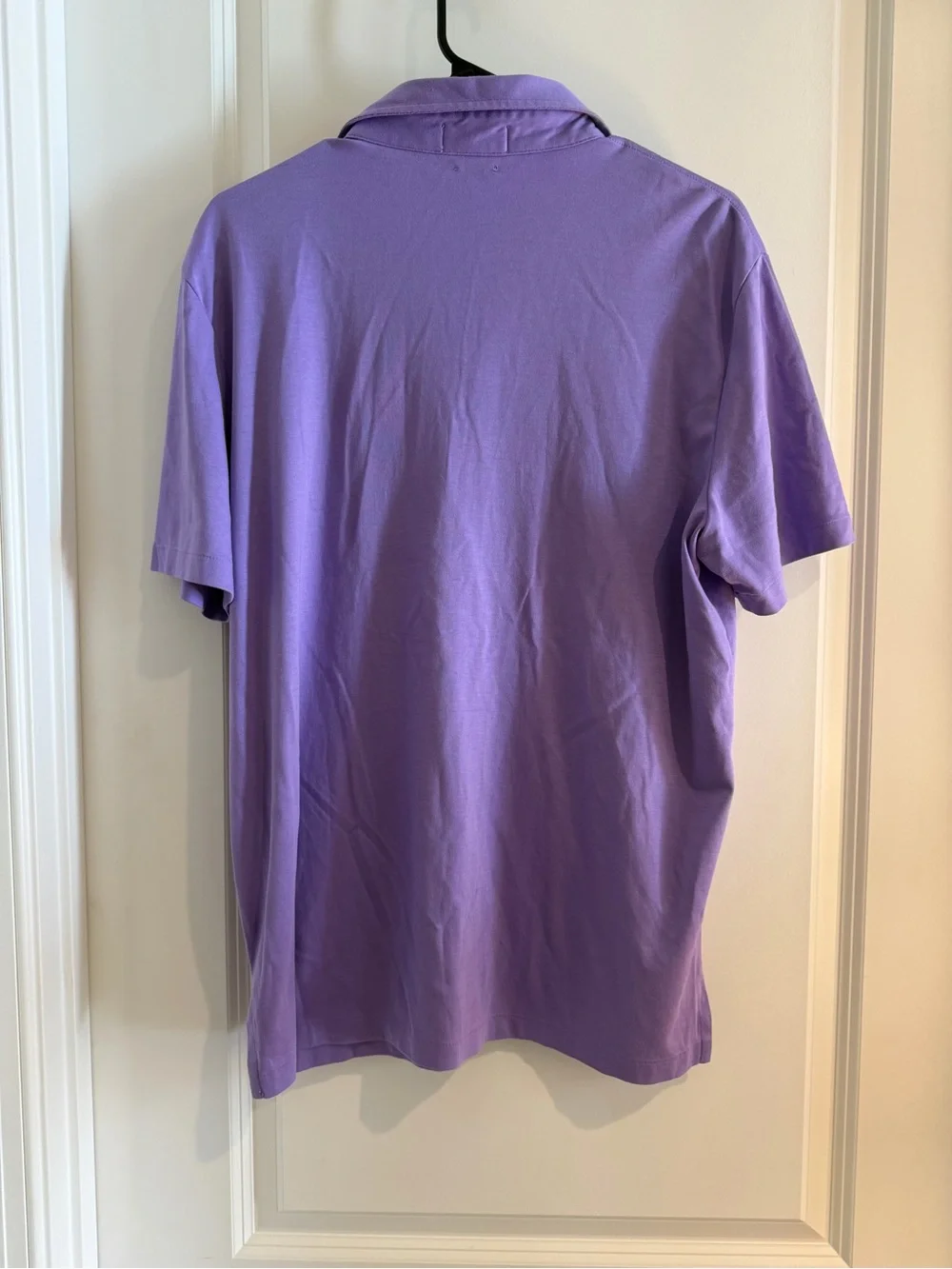 Ralph Lauren Men’s Purple Polo with Green Pony